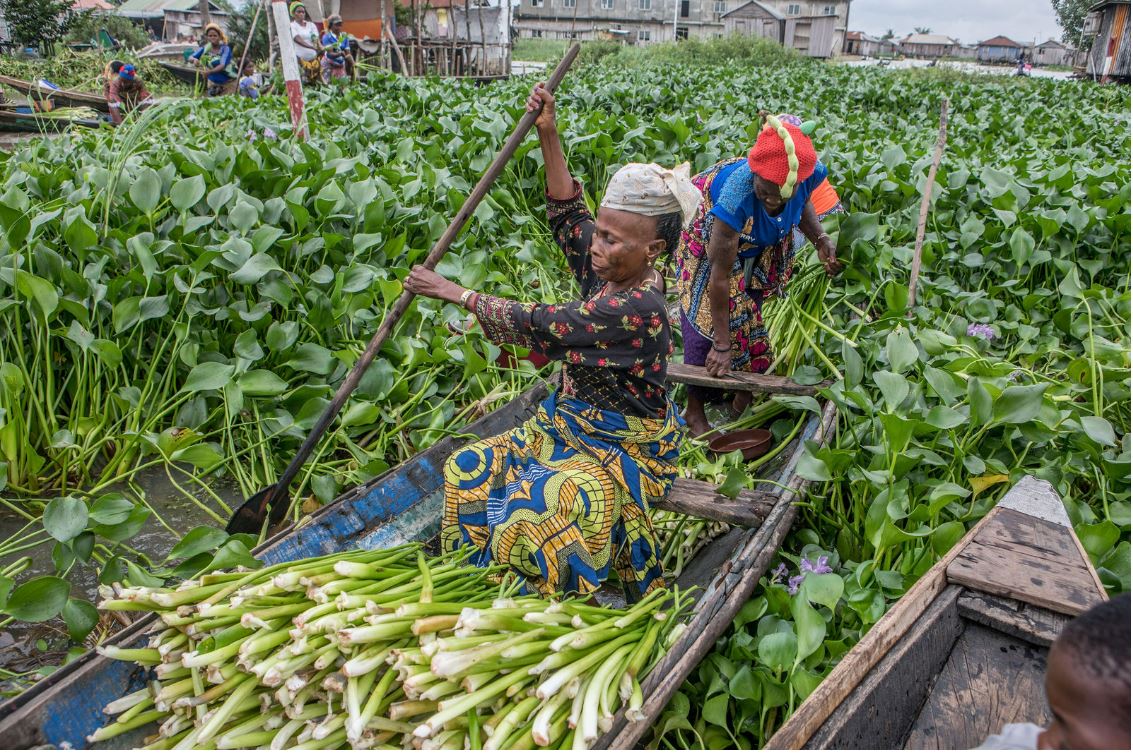 Bénin Réinventer la cité lacustre de Ganvié Géo Canal Info